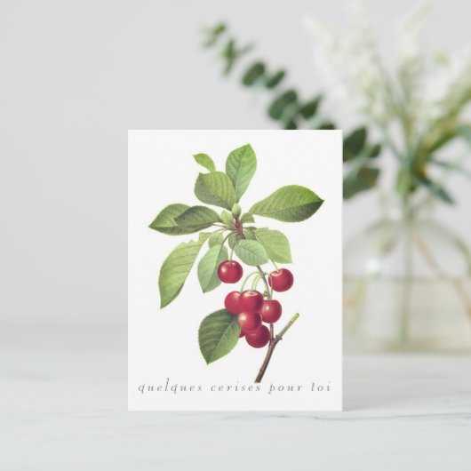 Pfannenserien für Sie Postkarte (Stehend Vorderseite)