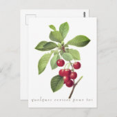 Pfannenserien für Sie Postkarte (Vorne/Hinten)