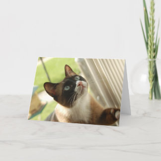 Pfannkuchen-Karte Karte