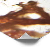 Pfarrkrabbe Poster (Ecke)