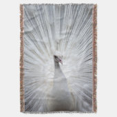 Pfau20160401 Decke (Vorderseite Vertikal)