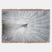 Pfau20160401 Decke (Vorderseite)