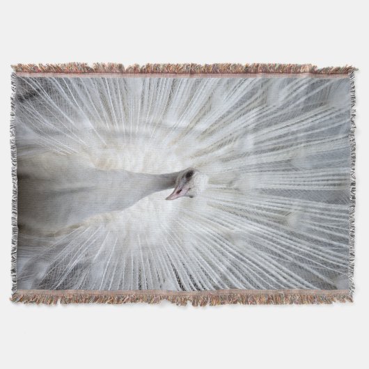 Pfau20160401 Decke (Vorderseite)