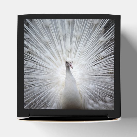 Pfau20160401 Geschenkschachtel (Oben)