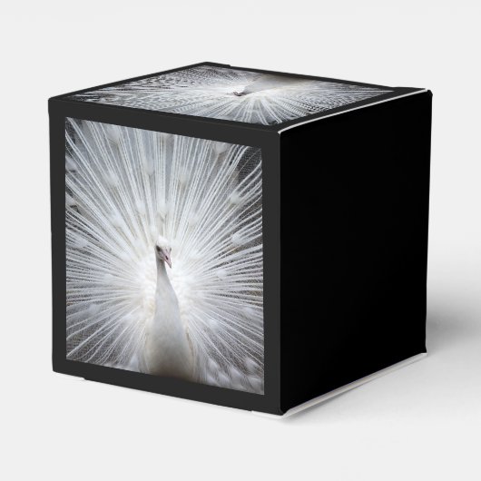 Pfau20160401 Geschenkschachtel (Rückseite)