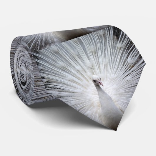 Pfau20160401 Krawatte (Gerollt)