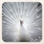 Pfau20160401 Rechteckiger Pappuntersetzer (Vorderseite)