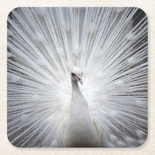 Pfau20160401 Rechteckiger Pappuntersetzer