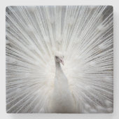 Pfau20160401 Steinuntersetzer (Vorderseite)