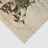 Pfau 18lb Decoupage Sheet  Seidenpapier (Ausschnitt)