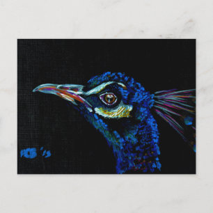 Pfau 1 Postkarte