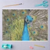 Pfau 1 Wandteppichpapier Seidenpapier (Basteln)