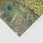 Pfau 1 Wandteppichpapier Seidenpapier (Ausschnitt)