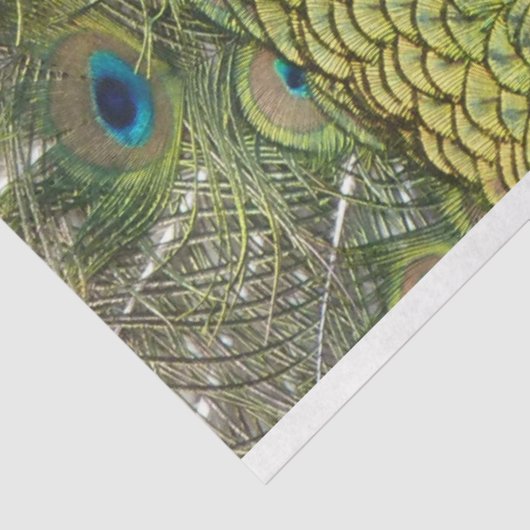 Pfau 1 Wandteppichpapier Seidenpapier (Ausschnitt)