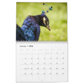 Pfau 2025 kalender (Jan 2026)