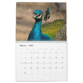 Pfau 2025 kalender (Feb 2027)