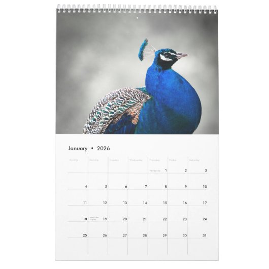 Pfau 2025 kalender (Jan 2026)