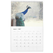Pfau 2027 kalender (Mär 2027)