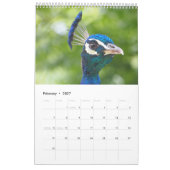 Pfau 2027 kalender (Feb 2027)