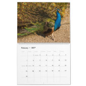 Pfau 2027 Wandbild Kalender (Feb 2027)