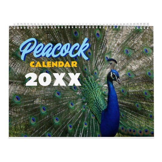 Pfau 2027 Wandbild Kalender (Titelbild)