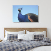 Pfau 2 leinwanddruck (Insitu (Schlafzimmer))