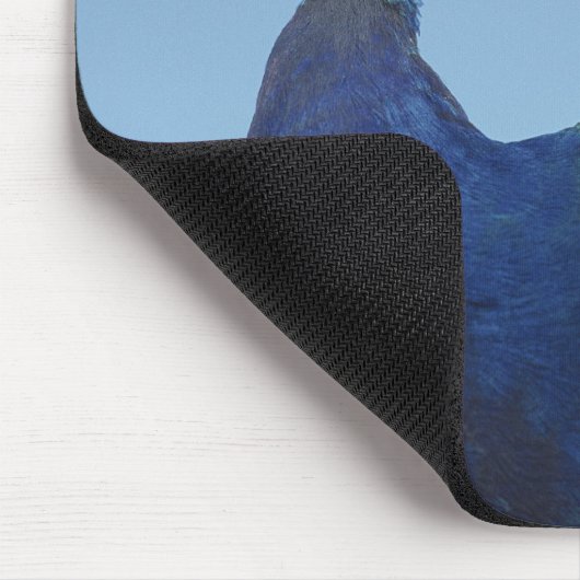 Pfau 2 mousepad (Ecke)
