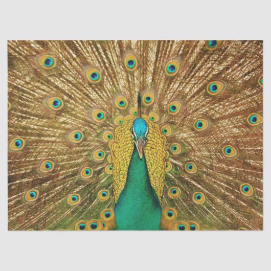 Pfau 2 Wandteppichpapier Seidenpapier (Vorderseite)