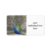 Pfau Adressaufkleber (Vorne)