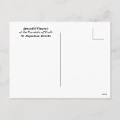 Pfau am Jungbrunnen Feiertagspostkarte (Rückseite)