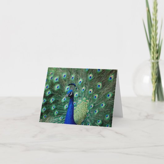 Pfau, Anmerkungskarte Karte (Vorderseite)