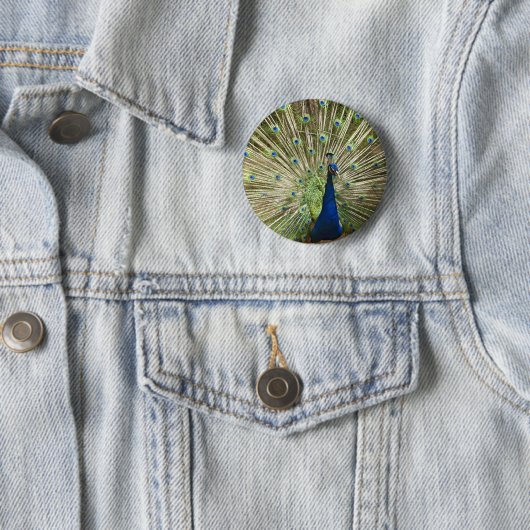 Pfau-Anzeige Button (Beispiel)