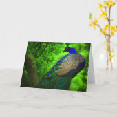 Pfau auf dem Baum Karte (Gelbe Blume)