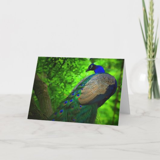 Pfau auf dem Baum Karte (Vorderseite)