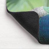 Pfau auf dem Felsen Mousepad (Ecke)