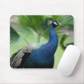 Pfau auf dem Felsen Mousepad (Mit Mouse)
