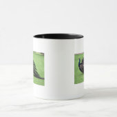 Pfau auf dem Gebiet Tasse (Zentrum)