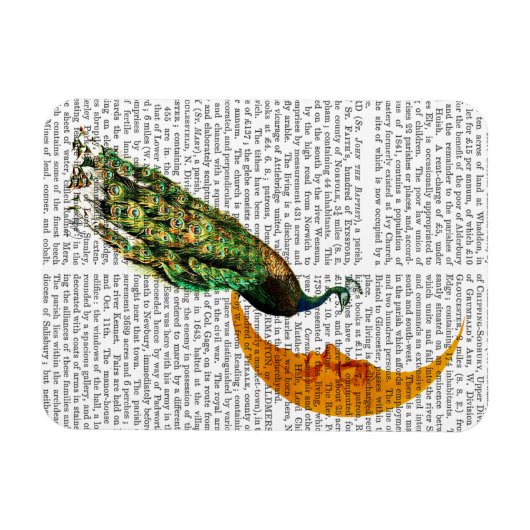 Pfau auf dem Mond Magnet (Horizontal)