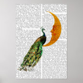 Pfau auf dem Mond Poster (Vorne)