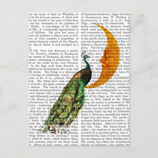 Pfau auf dem Mond Postkarte (Vorderseite)