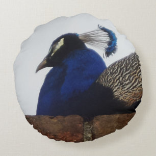 Pfau auf dem Wall-Rundkissen Rundes Kissen