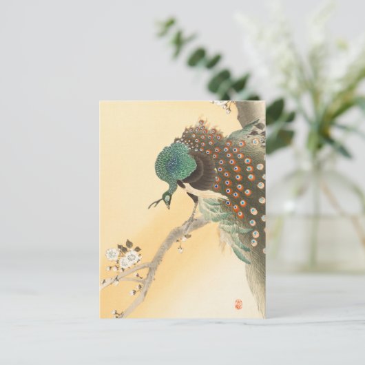 Pfau auf einem Kirschbaum von Ohara Koson Postkarte (Stehend Vorderseite)