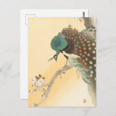 Pfau auf einem Kirschbaum von Ohara Koson Postkarte (Vorne/Hinten)