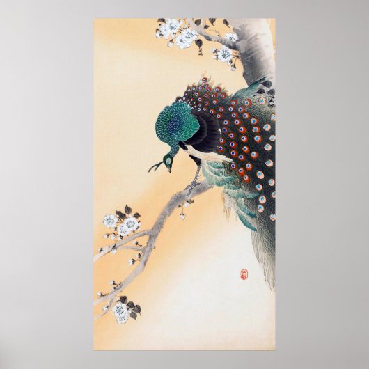 Pfau auf einem Kirschblossom, Ohara Koson Poster (Vorne)