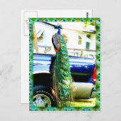 Pfau auf einem Lieferwagen Postkarte (Vorne/Hinten)