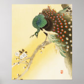 Pfau auf Kirschblossom Poster (Vorne)