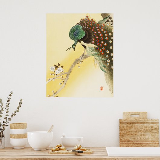 Pfau auf Kirschblossom Poster (Küche)