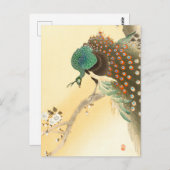 Pfau auf Kirschblütenbaum ++ Ohara Koson - Postkarte (Vorne/Hinten)