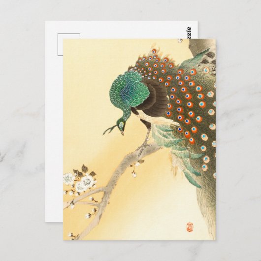 Pfau auf Kirschblütenbaum ++ Ohara Koson - Postkarte (Vorne/Hinten)