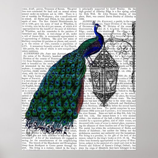 Pfau auf Lamp Poster (Vorne)